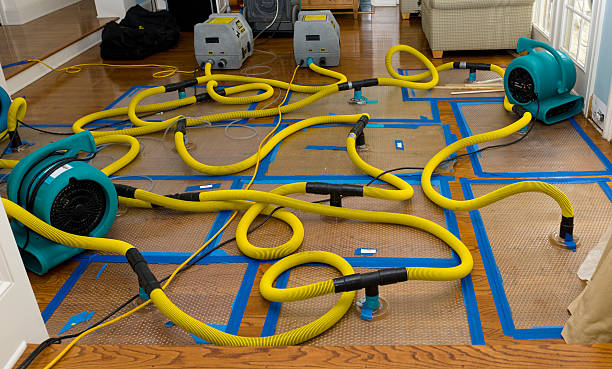 Professional Structural Drying And Dehumidification technician working in Amesville, OH