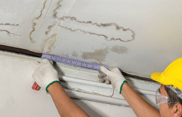 Affordable Water Damage Repair solutions in Amesville, OH
